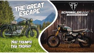 Triumph Scrambler 1200 Steve McQueen Edition | Triumph | MotoUK