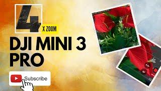 how to use the zoom option in dji mini 3 pro | 4X zoom avilable in DJI mini 3 pro