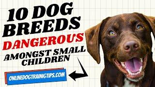 10 Dog Breeds That Are Dangerous Amongst Small Children