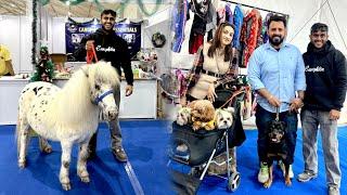 Chandigarh Dog show & Horse show  with @namitaology 