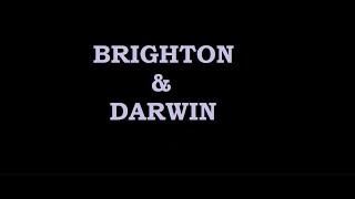 Brighton and Darwin: A normal day in the life of two cats