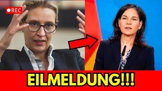 Alice Weidel macht eine 180-Grad-Wendung bei der Grünen Energie!!!