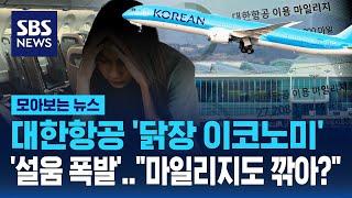 대한항공 '닭장 이코노미' '설움 폭발'.."마일리지도 깎아?"  / SBS / 모아보는 뉴스