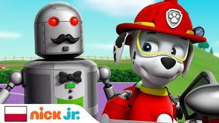 Psi Patrol | Szczeniaki i robot | Nick Jr.