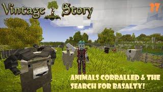 S1 Ep. 27 |Vintage Story 1.18| Animals Corralled & The Search for BaSalty!