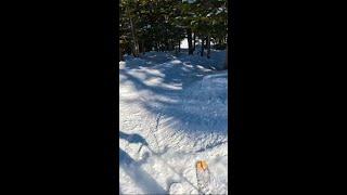 Clean Air #shorts #fun #cool #skiing #gopro #skills #air