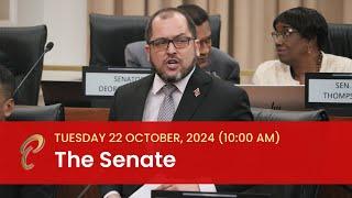 4th Sitting of the Senate - 5th Session - 12th Parliament - October 22, 2024