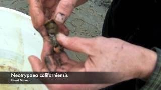 Oregon Sea Grant Career Day Preview