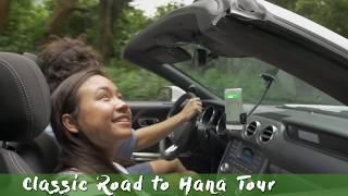 How to Drive the Road to Hana (Maui, Hawaii) - Shaka Guide