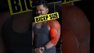 Bicep  Size workout Telugu | Get big biceps #bicepsworkout #ytshortsindia #trending #telugufitness