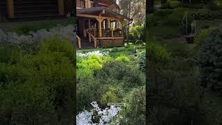 LENOTR PARK ландшафтный дизайн лесного участка