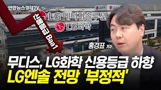 무디스, LG화학 신용등급 하향…LG엔솔 신용등급 전망 '부정적' l 경제ON 홍기자의 뉴스포인트 241212