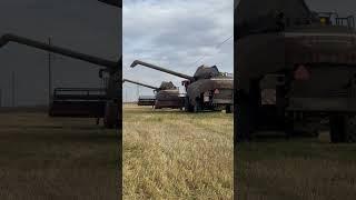 Заминка на производстве