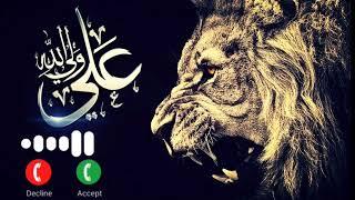 Mera Mola Haidar Haidar!!mera mola haidar haidar!!islamic background music 2022  #islamic #ringtone