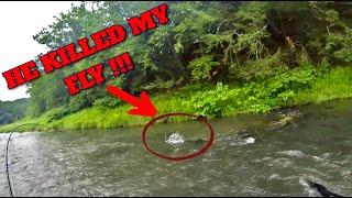 He KILLED My Fly - Streamer Fishing - West Branch of the Delaware River #fishing #trout #flyfishing