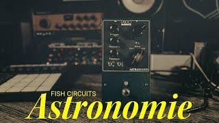 Fish Circuits Astronomie Spring Reverb