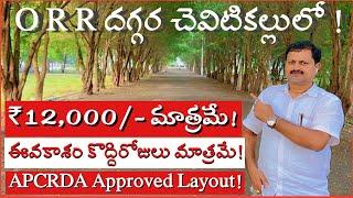 Plots for sale in AP capital Amaravati amaravathi plots for sale #vijayawadarealestate