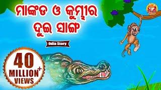 Mankada O Kumbhira Dui Sanga ମାଙ୍କଡ ଓ କୁମ୍ଭୀର ଦୁଇ ସାଙ୍ଗ | Odia Moral Story | Huke Hu Tv