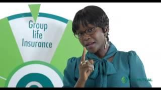 Old Mutual Group Life Plan