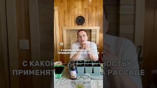 Когда применять биостимулятор РОСТОК на рассаде