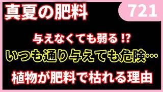 【超重要】夏の肥料について ｂｙ園芸チャンネル721 園芸 ガーデニング 初心者
