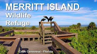 National Wildlife Refuge - Merritt Island (Florida)