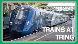 TRAINS at TRING (WCML/West Coast Main Line) - 07/10/2024