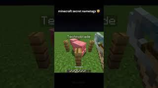 Minecraft Secret Nametags 