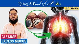 Balgham/Kera Girna Ka Ilaj - Cleanse Mucus/Phlegm From Lungs - Reetha/Soapberry Benefits-Urdu/Hindi