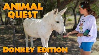 Animal Quest: Donkey Edition