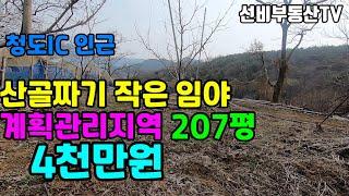 청도토지(100) 청도읍 운산리 계획관리지역임야 선비부동산055-354-8757 자연인토지 주말농장 텃밭#청도부동산매물#청도토지#청도부동산#청도전원주택#청도촌집#청도농막