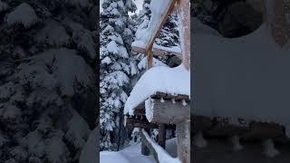 Skiing jumps #skiingstunts #wintersports #skiingfun #snow #skiingfails #snowsports #rock