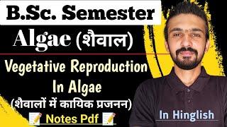 Vegetative Reproduction In Algae || Reproduction In Algae || Bsc Semester || By Dadhich Sir