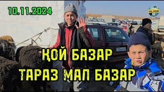 10.11.2024 ҚОЙ БАЗАР / МАЛ БАЗАР ТАРАЗ