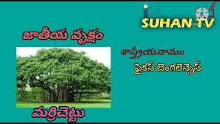 GENERAL KNOWLEDGE CLASS-5 | NATIONAL SYMBOLS OF INDIA | SUHAN TV