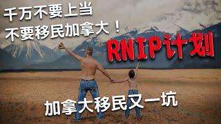 加拿大移民又一坑：RNIP计划，不要上当，不要移民，不要洋插队