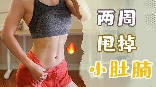 十分钟下腹超燃脂训练 | 无器械新手友好 | 10 mins LOWER ABS workout | BURN BELLY FAT FAST