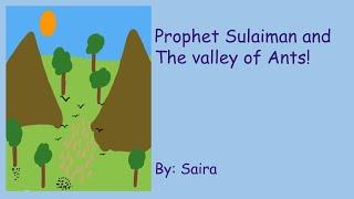 Prophet Sulaiman and the valley of ants.