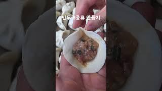 만두 5종류 만드는 방법 #food