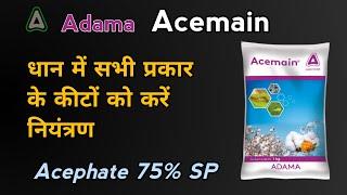 Adama Acemain | Acephate 75% SP Insecticide | धान में सभी प्रकार के कीटों के लिए एक दवा|पूरी जानकारी