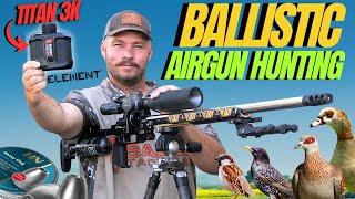 BALLISTIC AIRGUN HUNTING I ELEMENT TITAN 3K REVIEW AND HUNT I AIRGUN PEST CONTROL