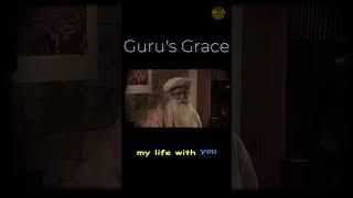 Guru's Grace #sadhguru #wisdom #guru