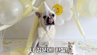 프렌치불독 순대 | 나 김뚠대 한쨜