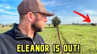 We Had to Rescue Eleanor! We Found Her In...
