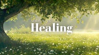 Relaxing Healing Music: Meditation, Sleep, Nature Sounds for Deep Rest & Energy Recovery