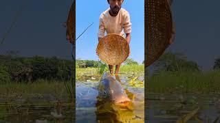 Wow Primitive Fish Catching. #fishing #viralvideoシ #viralfishing