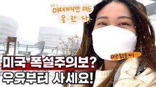 나만 몰랐던 미국 폭설 대비하기.. | 둘째딸 미국 현실 브이로그 | 메릴랜드 VLOG