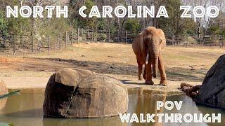 North Carolina Zoo: A Must-See Experience POV Walk