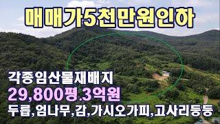 (20820) 매매가 5천만원 인하.각종 임산물 재배하는 임야 29,880평/ 도로,전기,지하수관정시설,농막,작업장 있음/경북 상주시 화동면 어산리