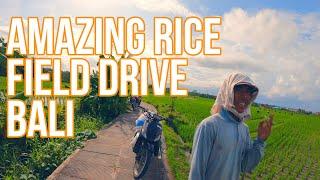 INCREDIBLE Rice Field DIRT BIKE Ride in BALI | Sur Ron Indonesia | Electric Dirt Bike Bali